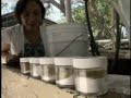 LOS TESOROS DE LA ISLA VIDEO 3