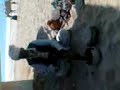 sapeera-snake-charmer-snake-dance-on-been-murli.html