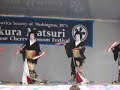 Geisha Fan Fance