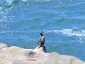 Getaways to Sweet Creek, Sunset Bay, and Shore Acre Parks