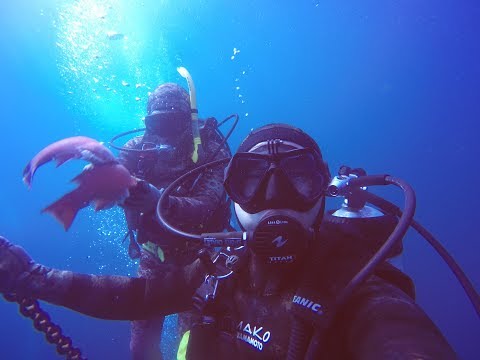 Channel Islands Anacapa Scuba Diving, Lobster Hunting, Spearfishing, Giant Black Sea Bass_Bvrkods