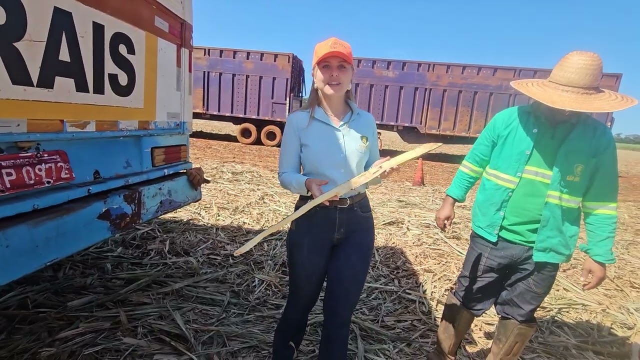 Monitoramento de pragas reforça eficiência do manejo nos canaviais da São Jorge Agronegócios