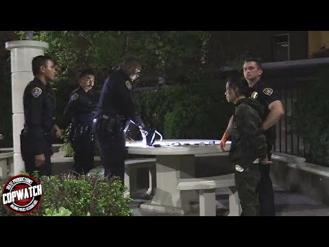 Mass Cops Respond to Report of Person w/ Gun in Park | 1 Arrested ...