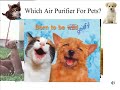 funny animal video           pet air purifier dangers