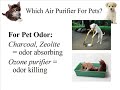 Funny Animal Video ..........Pet Air Purifier Dangers