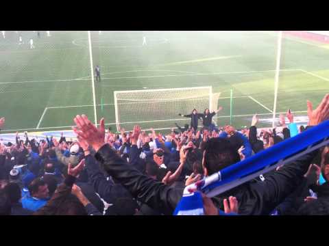 anorthosis