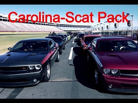 scat ass