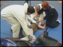 Extracci�n del paciente accidentado de forma segura
