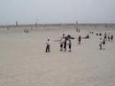 wildwood2007