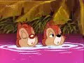 Chip Chap Theme Chip Chap Theme