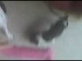 videos de Lucy and Tia