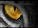 Thumbnail #3