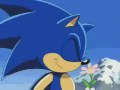 Sponge Sonic Moment
