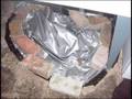 Black mold looks like this in an attic