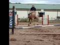 JessicaRide4Life: How to Jump a 5 Inch Cavaletie