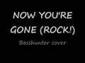 Basshunter now you're gone cover