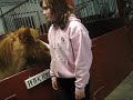 Hovland Ridestall Movie Hovland Ridestall Movie