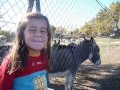 videos de Lucía y el burro