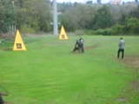 video allevamento amatoriale  antico ponte