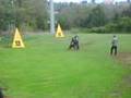 videos de GARA SPORTIVA DI LAVORO PASTORE TEDESCO