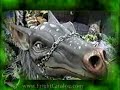The Fright Catalog - The Creature Costume