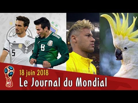 JOURNAL DU MONDIAL