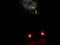 Crawling nocturno