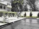 MFZ Off the Diving Board in Palm Beach