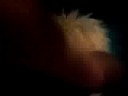 madina-lake-one-last-kiss-lyric-video.html