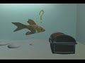 The Haunted Fish Tank