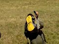 Сумасшедший пилот