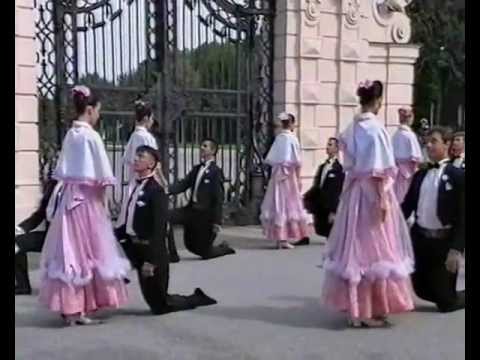 Stúdió - Citromfák