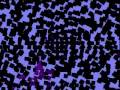YouTube - Severina - Wayne Hussey