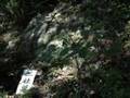 奈良高取山の五百羅漢