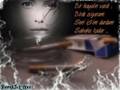 fatih ye�ilg�l telli turnam