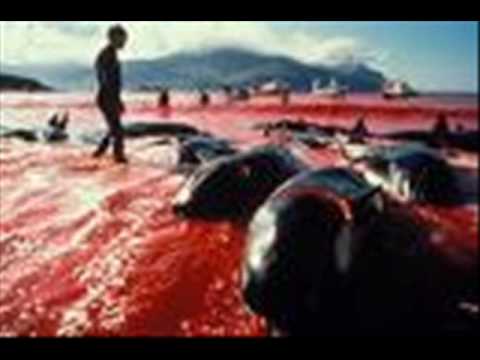 Youtube Video g-wFa9qtWxk