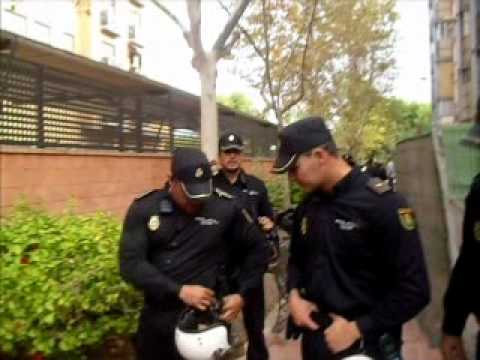 Imagen de previsualización de YouTube