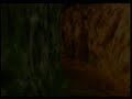 [Froggytest] Wii Zelda