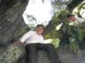 Atorados en el arbol.3GP