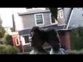 clip video Robert Johnson Keep Your Hands Off Her
