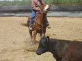 Dually Cutting a Cow June 10th