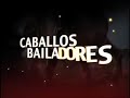 CABALLOS BAILADORES EN TELEVISION TuVision