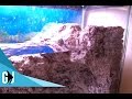 #9: Drylok Background Test Fill