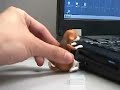 chien usb