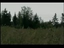 my interpretation and my arrangement of this great classic of mason williams classical gas. 
the images that we see on this video are the land where my great-grand-father ,my grandfather and my father where born. grande-rivi�re gasp� qu�bec.
mon interpr�tation et mon arrangement du c�l�bre classique de mason williams classical gas.
les images du vid�o nous montrent la terre ou mon arri�re-grand-p�re, mon grand-p�re et mon p�re naquirent. grande-rivi�re gasp� qu�bec.
claudesirois