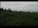 my interpretation and my arrangement of this great classic of mason williams classical gas. 
the images that we see on this video are the land where my great-grand-father ,my grandfather and my father where born. grande-rivi�re gasp� qu�bec.
mon interpr�tation et mon arrangement du c�l�bre classique de mason williams classical gas.
les images du vid�o nous montrent la terre ou mon arri�re-grand-p�re, mon grand-p�re et mon p�re naquirent. grande-rivi�re gasp� qu�bec.
claudesirois