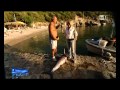 Montengro by RAI, Lineablu, September 2010, Bokotorska bay