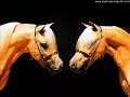 Horses- Keep Holding On Horses- Keep Holding On