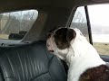 Orson Hears a Herd Orson Hears a Herd