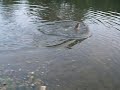 1st Musky